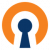 OpenVPN